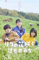 丁香花免费观看在线播放第6集
